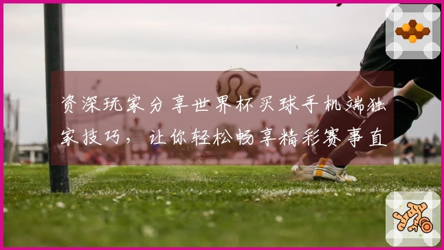 资深玩家分享世界杯买球手机端独家技巧，让你轻松畅享精彩赛事直播体验