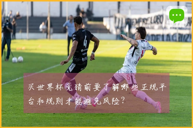买世界杯竞猜前要了解哪些正规平台和规则才能避免风险？