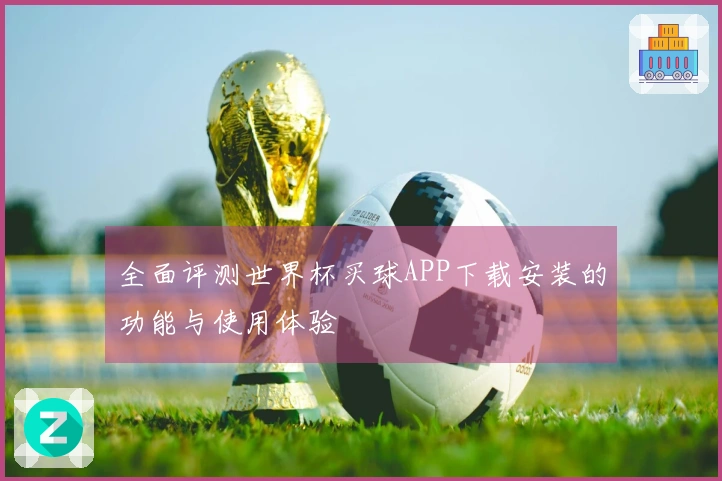 全面评测世界杯买球APP下载安装的功能与使用体验