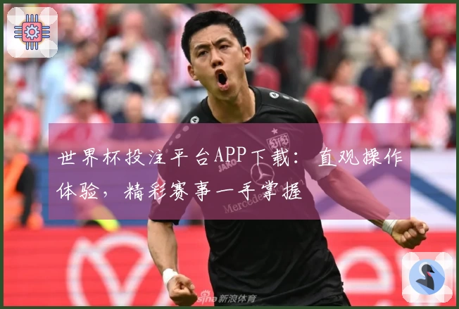 世界杯投注平台APP下载:直观操作体验,精彩赛事一手掌握