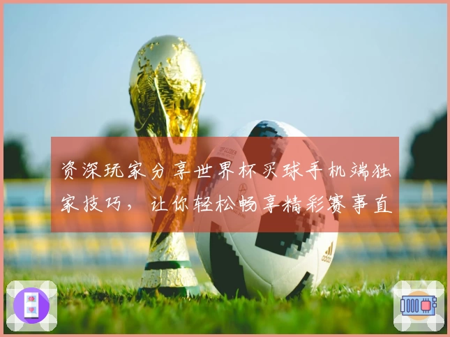 资深玩家分享世界杯买球手机端独家技巧，让你轻松畅享精彩赛事直播体验