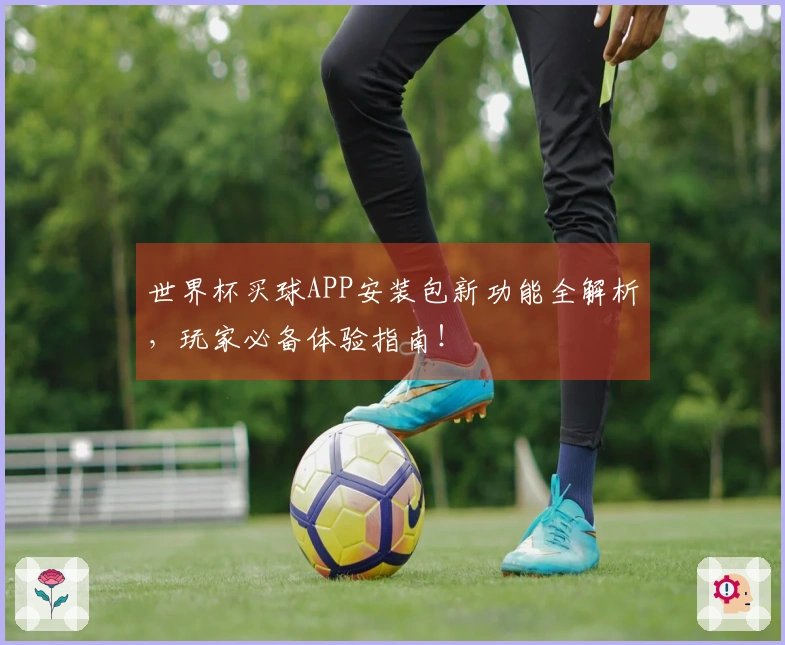世界杯买球APP安装包新功能全解析，玩家必备体验指南！