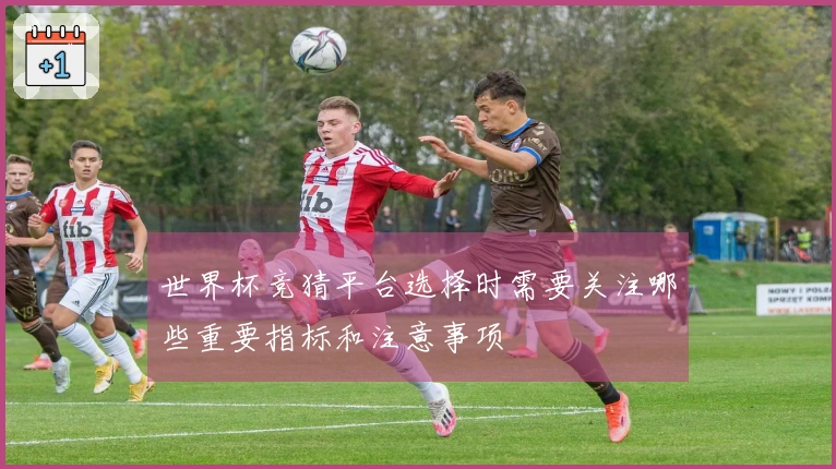 世界杯竞猜平台选择时需要关注哪些重要指标和注意事项