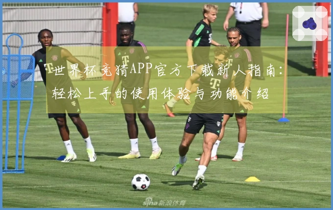 世界杯竞猜APP官方下载新人指南：轻松上手的使用体验与功能介绍