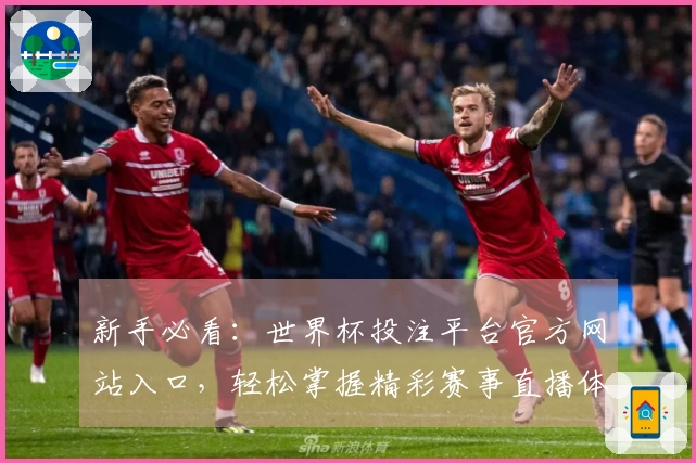 新手必看：世界杯投注平台官方网站入口，轻松掌握精彩赛事直播体验