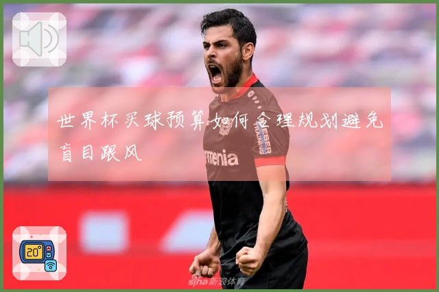 世界杯买球预算如何合理规划避免盲目跟风