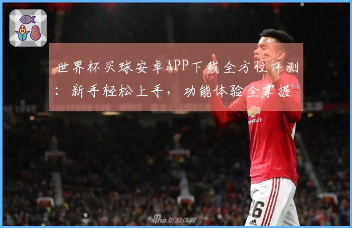 世界杯买球安卓APP下载全方位评测：新手轻松上手，功能体验全掌握