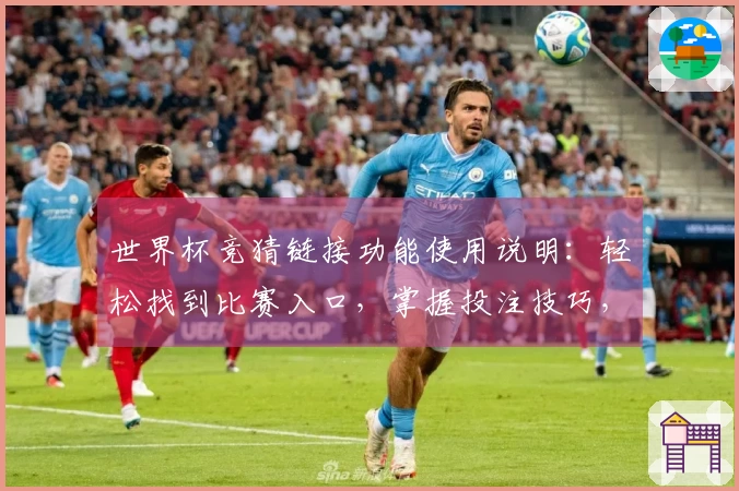 世界杯竞猜链接功能使用说明：轻松找到比赛入口，掌握投注技巧，提升观赛体验