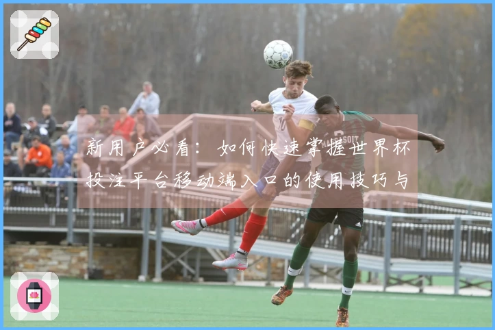 新用户必看：如何快速掌握世界杯投注平台移动端入口的使用技巧与功能优势