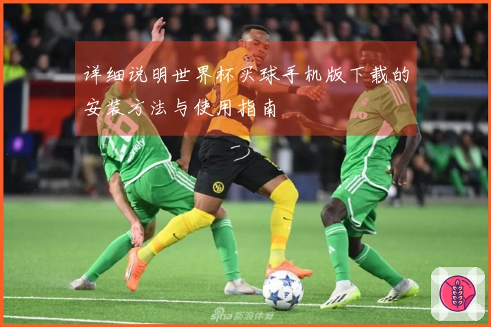 详细说明世界杯买球手机版下载的安装方法与使用指南