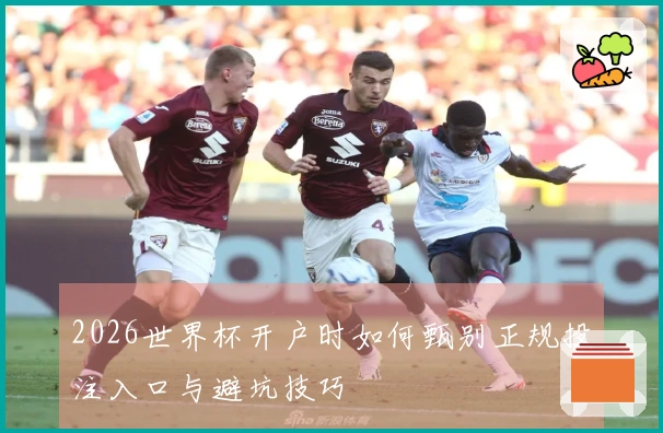 2026世界杯开户时如何甄别正规投注入口与避坑技巧