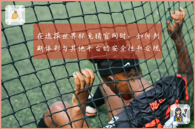 在选择世界杯竞猜官网时，如何判断体彩与其他平台的安全性和合规性？