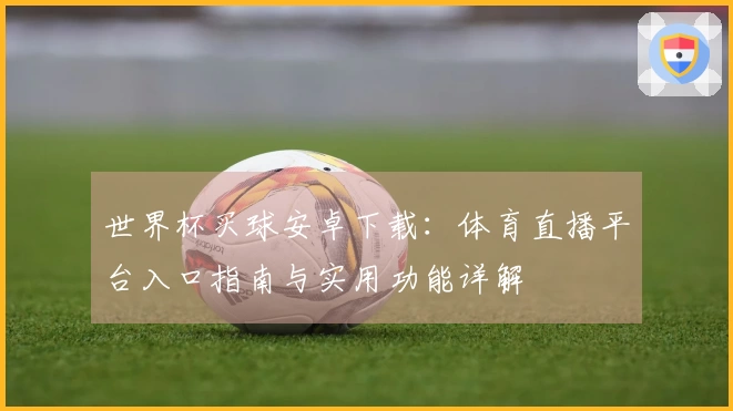 世界杯买球安卓下载：体育直播平台入口指南与实用功能详解